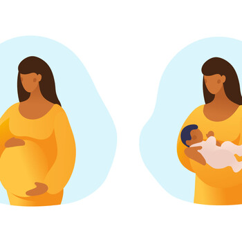 The Newborn Transition: Womb to Postpartum